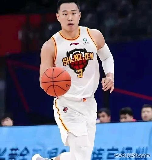 亚博体育 贺希宁砍23分深圳击败山东 林庭谦贡献13+11天津战胜吉林